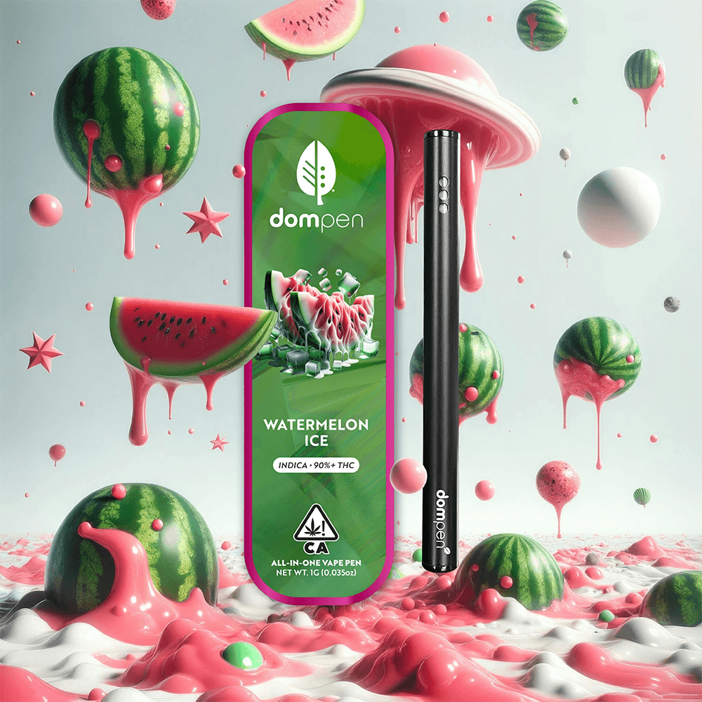 Dompen | Watermelon Ice Disposable 1g |