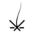 www.donfuegowashington.com favicon